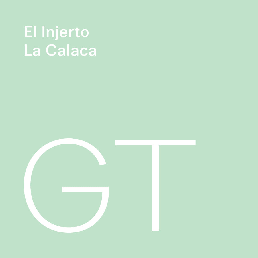 El Injerto - Auction Lot EL08 - Geisha - La Calaca - Guatemala