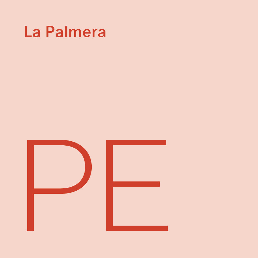 La Palmera - Gesha - Peru